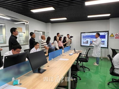 從“一”到“百” 內(nèi)江以技術(shù)咨詢?yōu)橛曷叮寗?chuàng)新種子長(zhǎng)成產(chǎn)業(yè)森林